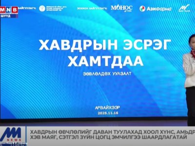 Улаанбаатарт ажиллалаа
