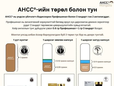 Бүтээгдэхүүн танилцуулга